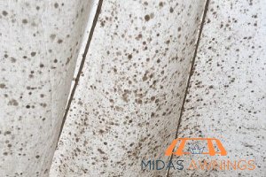 4 Key Features To Look Out For When Choosing Awnings in Singapore 4 anti-mold-and-mildew-treatment-4-key-features-to-look-out-for-when-choosing-awnings-in-singapore-awnings-midas-awnings-singapore