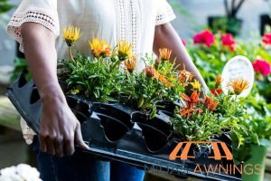 5 Ways You Can Prepare for A Professional Awnings Installation in Singapore 2 remove-any-furniture-plants-or-other-items-from-the-area-5-ways-you-can-prepare-for-a-professional-awnings-installation-in-singapore-awnings-midas-awnings-sinagpore