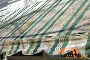 How to Choose Awnings That Are Perfect for Singapore’s Humid Climate 2 mold-and-mildew-growth-how-to-choose-awnings-that-are-perfect-for-singapores-humid-climate-awnings-midas-awnings-singapore